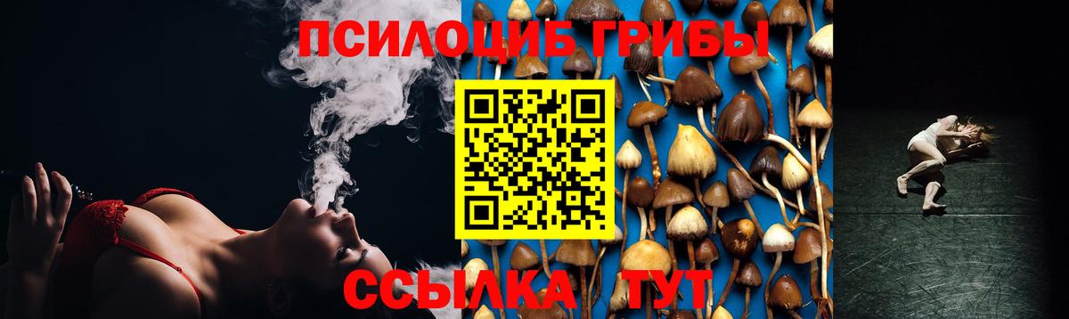 Псилоцибиновые грибы Magic Shrooms Бутурлиновка